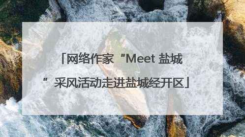 网络作家“Meet 盐城”采风活动走进盐城经开区