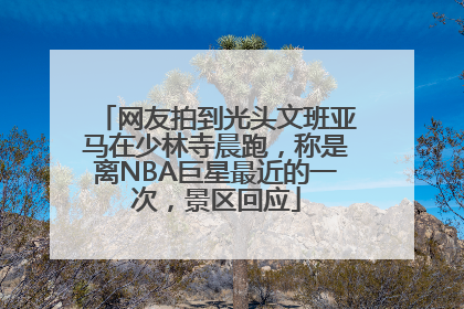 网友拍到光头文班亚马在少林寺晨跑，称是离NBA巨星最近的一次，景区回应