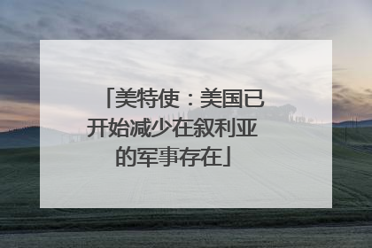 美特使：美国已开始减少在叙利亚的军事存在