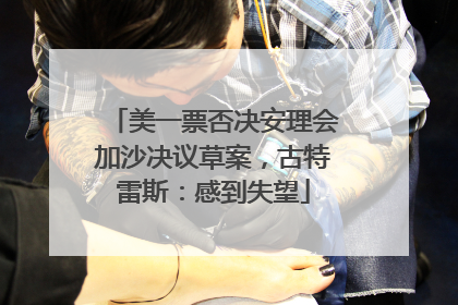 美一票否决安理会加沙决议草案，古特雷斯：感到失望