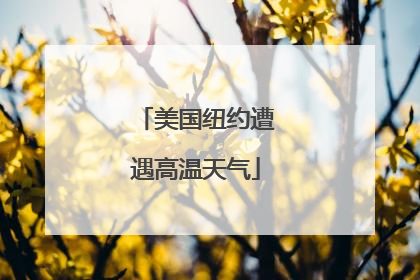 美国纽约遭遇高温天气