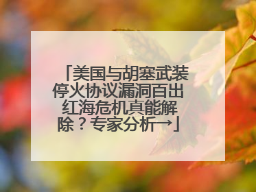美国与胡塞武装停火协议漏洞百出 红海危机真能解除？专家分析→