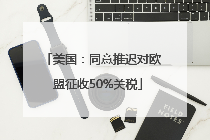 美国：同意推迟对欧盟征收50%关税