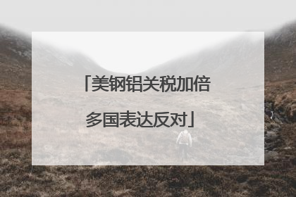 美钢铝关税加倍 多国表达反对