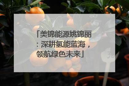 美锦能源姚锦丽：深耕氢能蓝海，领航绿色未来