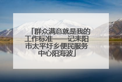 群众满意就是我的工作标准——记耒阳市太平圩乡便民服务中心阳海波