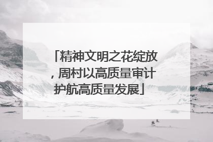 精神文明之花绽放，周村以高质量审计护航高质量发展