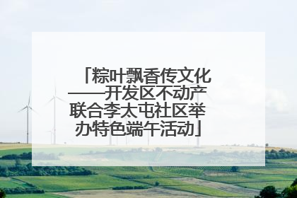 粽叶飘香传文化——开发区不动产联合李太屯社区举办特色端午活动