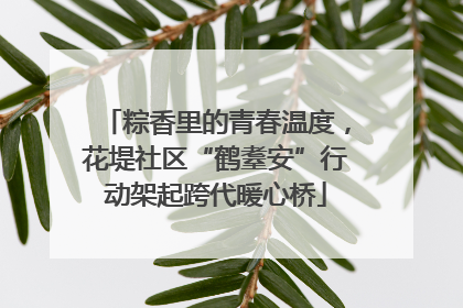粽香里的青春温度，花堤社区“鹤耋安”行动架起跨代暖心桥