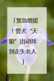 紧急增援！警犬“天狼”出动找到走失老人
