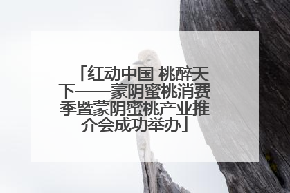 红动中国 桃醉天下——蒙阴蜜桃消费季暨蒙阴蜜桃产业推介会成功举办