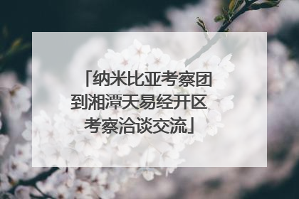 纳米比亚考察团到湘潭天易经开区考察洽谈交流