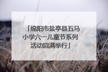 绵阳市盐亭县五马小学六一儿童节系列活动圆满举行