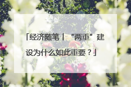 经济随笔丨“两重”建设为什么如此重要？