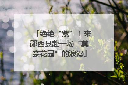 绝绝“紫”！来郧西县赴一场“莫奈花园”的浪漫
