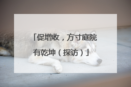促增收，方寸庭院有乾坤（探访）