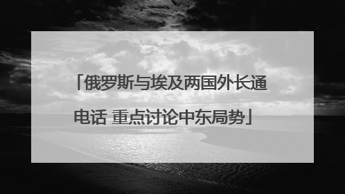 俄罗斯与埃及两国外长通电话 重点讨论中东局势