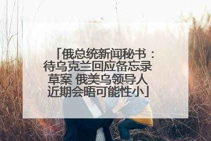 俄总统新闻秘书：待乌克兰回应备忘录草案 俄美乌领导人近期会晤可能性小