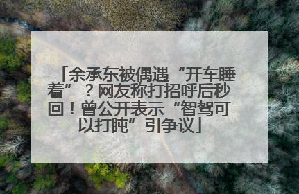 余承东被偶遇“开车睡着”？网友称打招呼后秒回！曾公开表示“智驾可以打盹”引争议