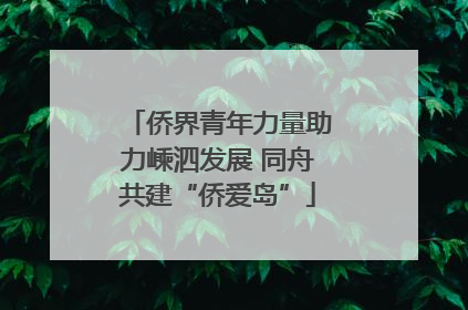 侨界青年力量助力嵊泗发展 同舟共建“侨爱岛”