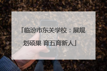 临汾市东关学校：展规划硕果 育五育新人