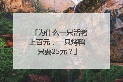为什么一只活鸭上百元，一只烤鸭只要25元？