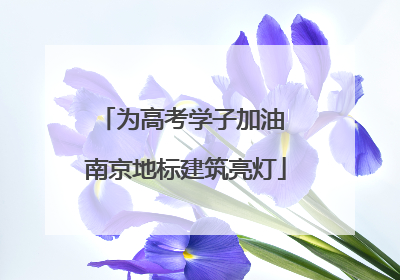 为高考学子加油 南京地标建筑亮灯