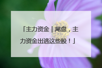 主力资金｜尾盘，主力资金出逃这些股！