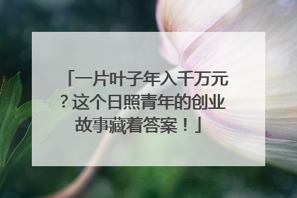一片叶子年入千万元？这个日照青年的创业故事藏着答案！