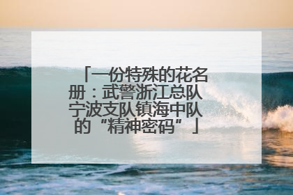 一份特殊的花名册：武警浙江总队宁波支队镇海中队的“精神密码”