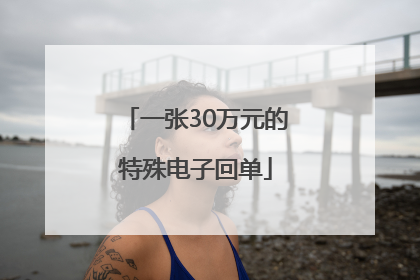 一张30万元的特殊电子回单