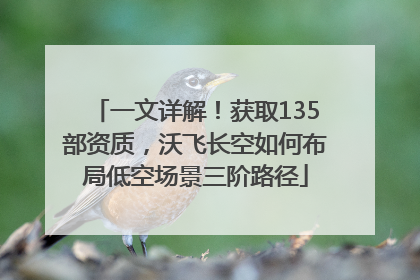 一文详解！获取135部资质，沃飞长空如何布局低空场景三阶路径