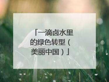 一滴卤水里的绿色转型（美丽中国）