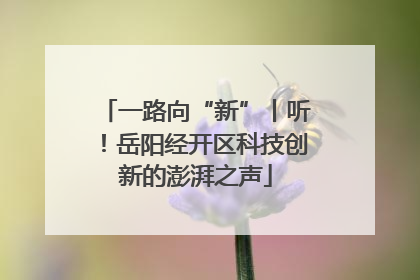 一路向“新”丨听！岳阳经开区科技创新的澎湃之声