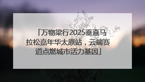 万物梁行2025垂直马拉松嘉年华太原站，云端赛道点燃城市活力基因
