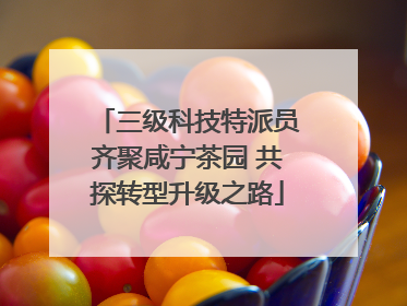 三级科技特派员齐聚咸宁茶园 共探转型升级之路