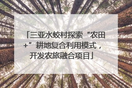 三亚水蛟村探索“农田+”耕地复合利用模式，开发农旅融合项目