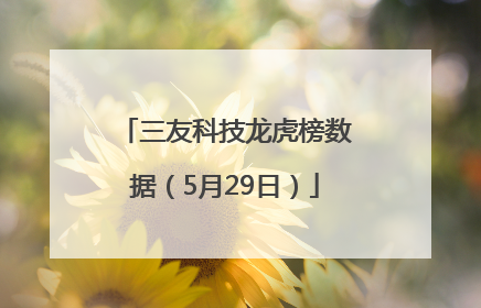 三友科技龙虎榜数据（5月29日）