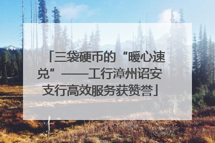 三袋硬币的“暖心速兑”——工行漳州诏安支行高效服务获赞誉