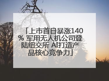 上市首日暴涨140% 军用无人机公司登陆纽交所 AI打造产品核心竞争力