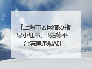 上海市委网信办指导小红书、B站等平台清理违规AI