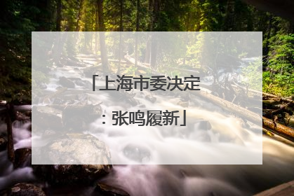 上海市委决定：张鸣履新