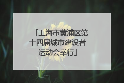 上海市黄浦区第十四届城市建设者运动会举行