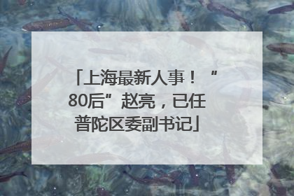 上海最新人事！“80后”赵亮，已任普陀区委副书记