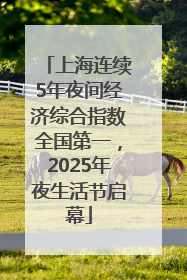 上海连续5年夜间经济综合指数全国第一，2025年夜生活节启幕