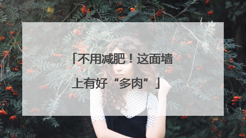 不用减肥！这面墙上有好“多肉”