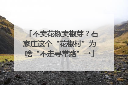 不卖花椒卖椒芽？石家庄这个“花椒村”为啥“不走寻常路”→