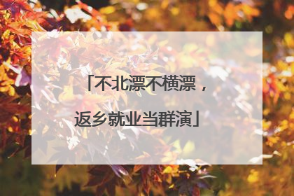 不北漂不横漂，返乡就业当群演