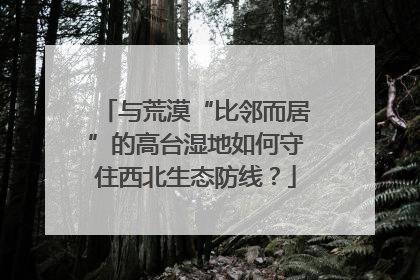 与荒漠“比邻而居”的高台湿地如何守住西北生态防线？