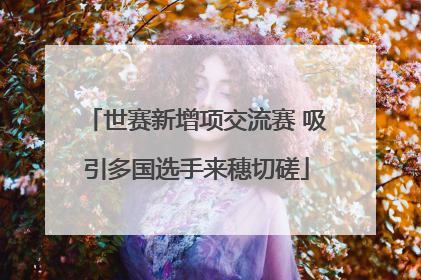 世赛新增项交流赛 吸引多国选手来穗切磋
